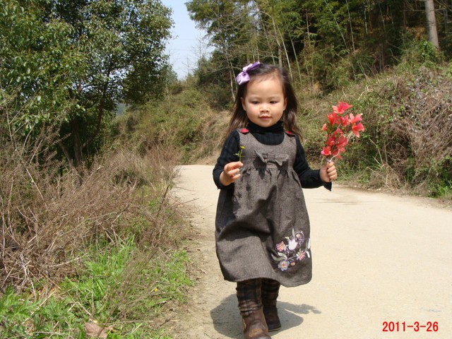 journal_insert_pic_55466075
