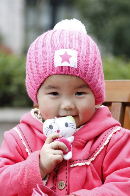 journal_insert_pic_55539682