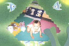 journal_insert_pic_56029795