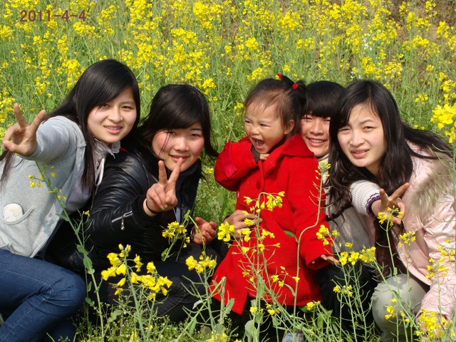 journal_insert_pic_56163438