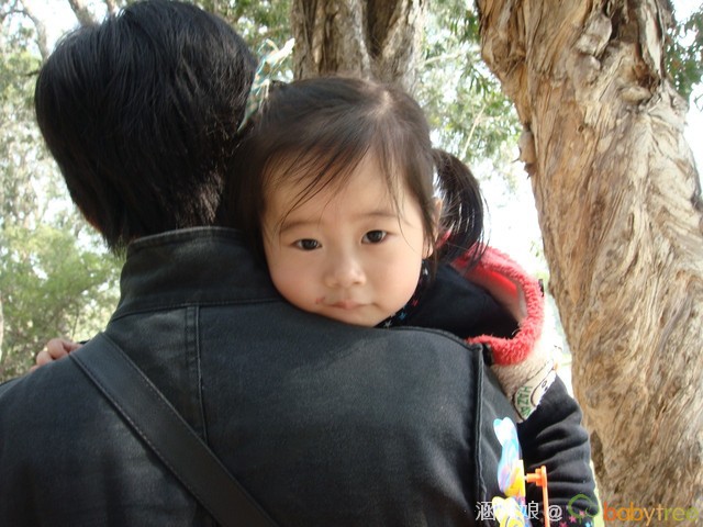 journal_insert_pic_56343904