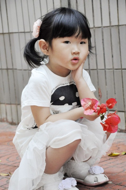 journal_insert_pic_56804182
