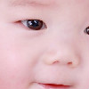 journal_insert_pic_57005020