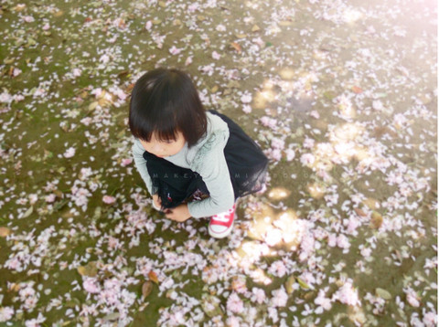 journal_insert_pic_57304828