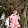 SL386187.JPG