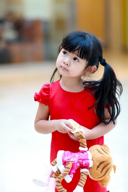 journal_insert_pic_58570733