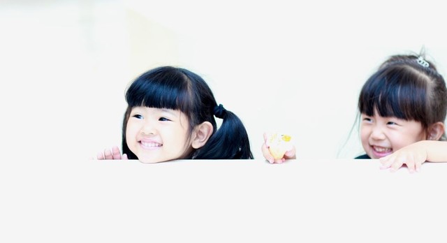 journal_insert_pic_58570524