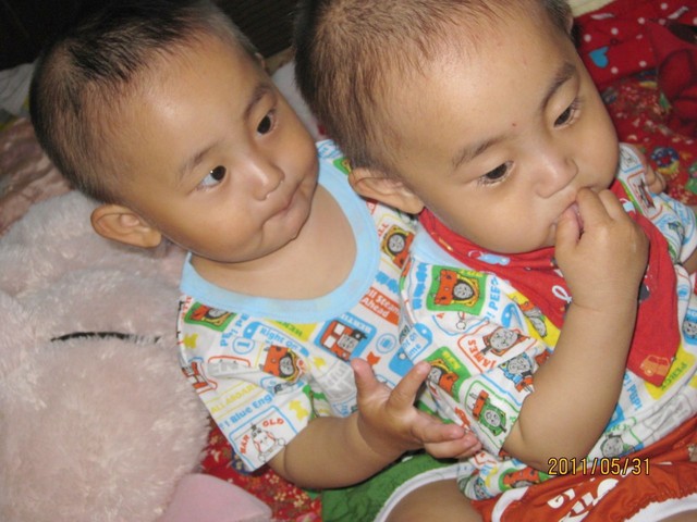 journal_insert_pic_60033960