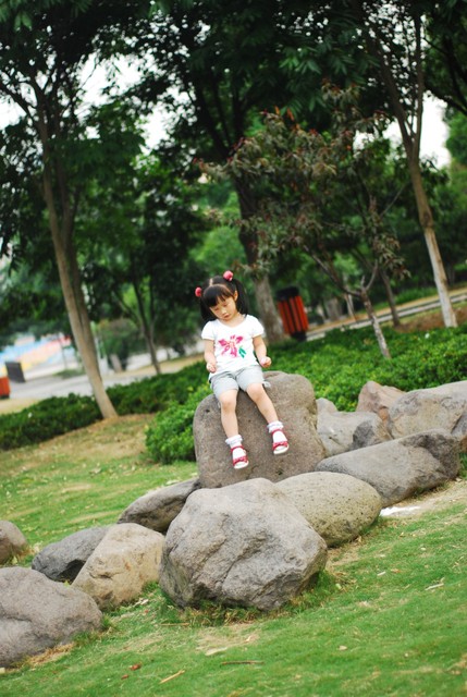 journal_insert_pic_60063328