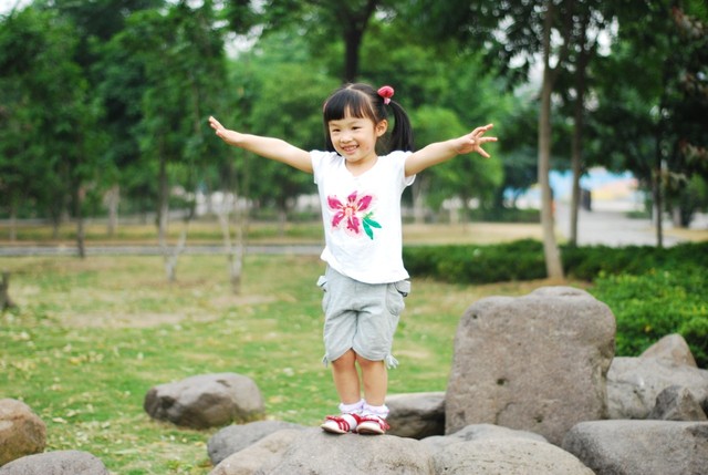 journal_insert_pic_60063391