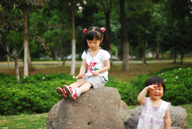 journal_insert_pic_60063312