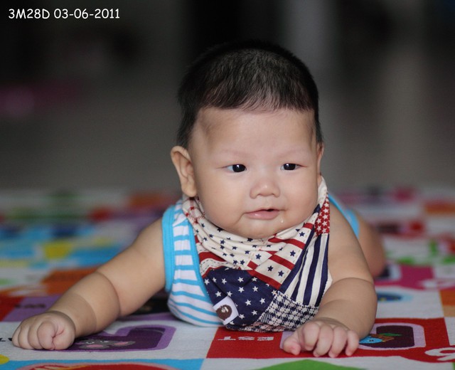 journal_insert_pic_60046279