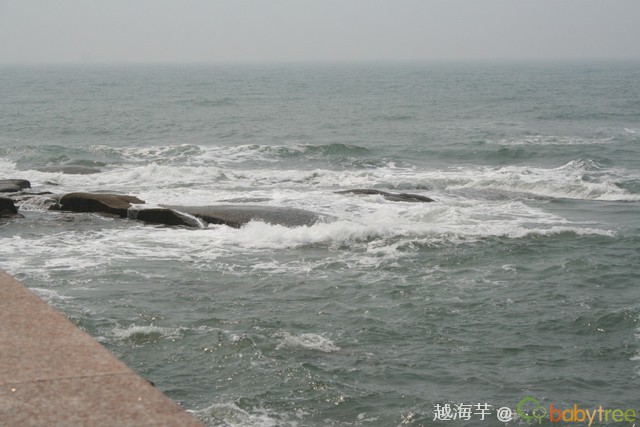 journal_insert_pic_60091455