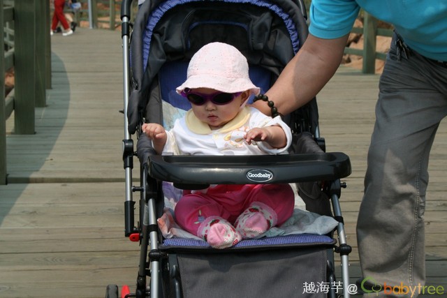 journal_insert_pic_60091496