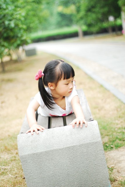 journal_insert_pic_60063473