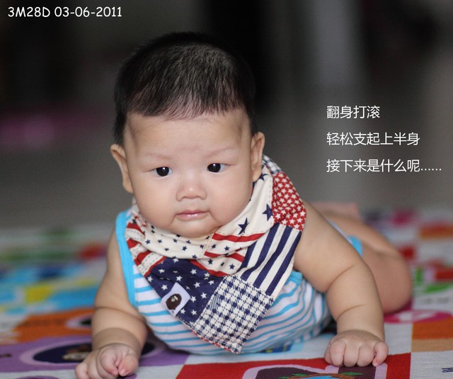 journal_insert_pic_60046274