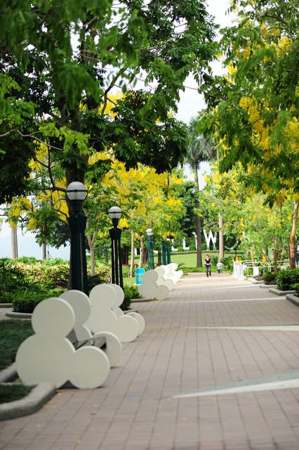 journal_insert_pic_60081440