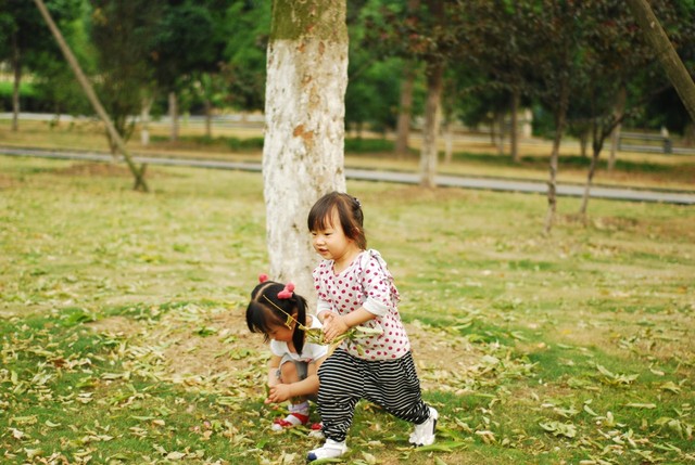 journal_insert_pic_60062956