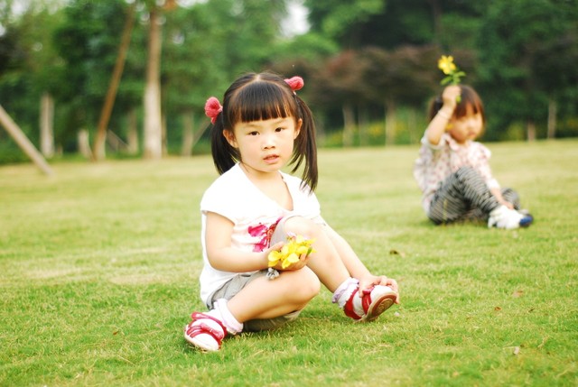 journal_insert_pic_60063158