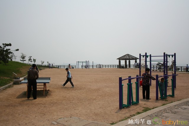 journal_insert_pic_60091795