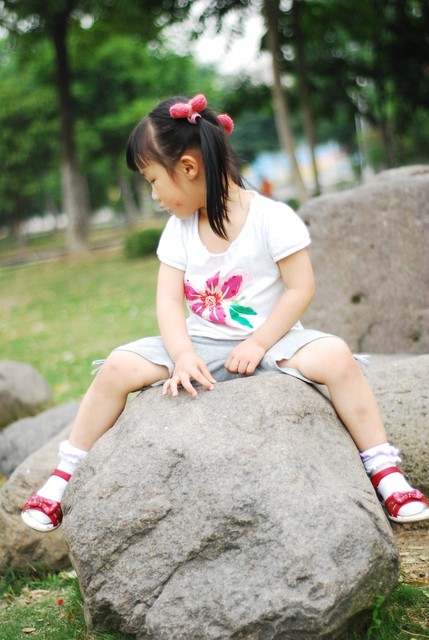 journal_insert_pic_60063429