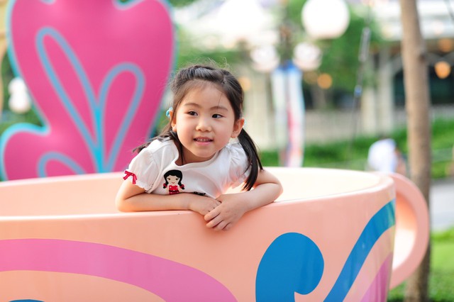 journal_insert_pic_60081512