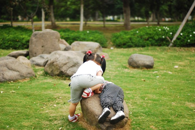 journal_insert_pic_60062933