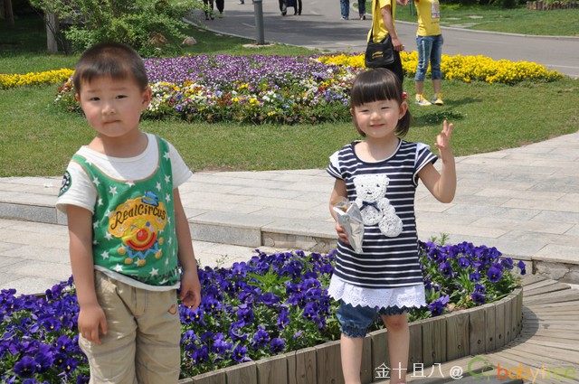 journal_insert_pic_60138612