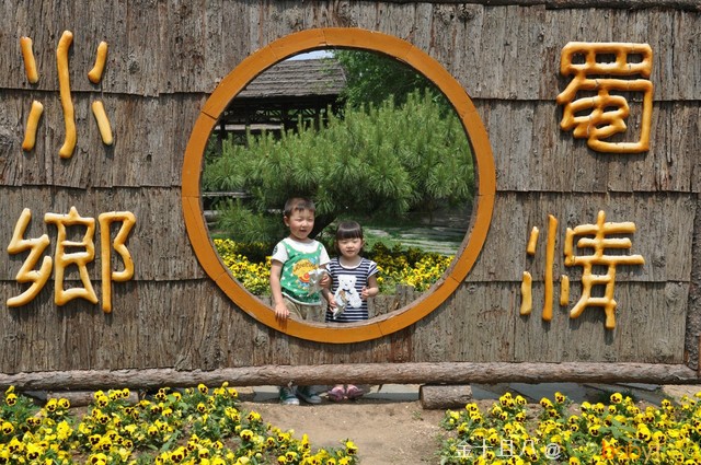 journal_insert_pic_60138691