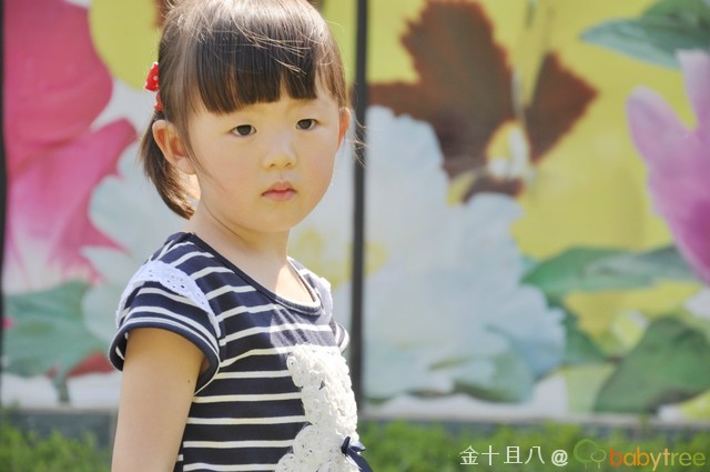 journal_insert_pic_60139445
