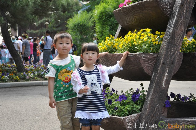 journal_insert_pic_60137604