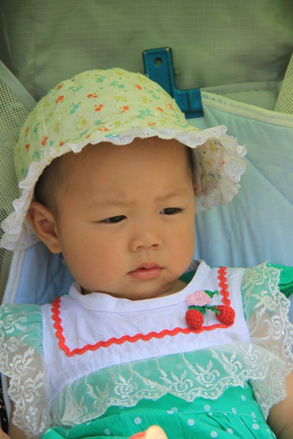 journal_insert_pic_60202923