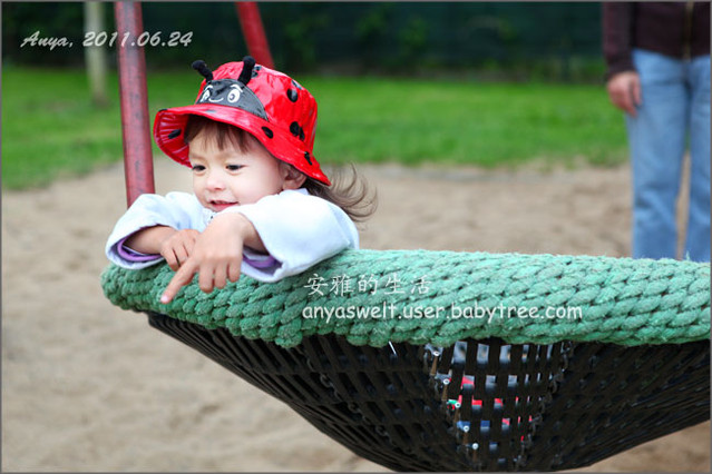 journal_insert_pic_61617134