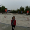 SL373971.JPG