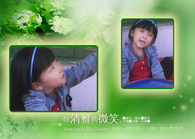 journal_insert_pic_70804943