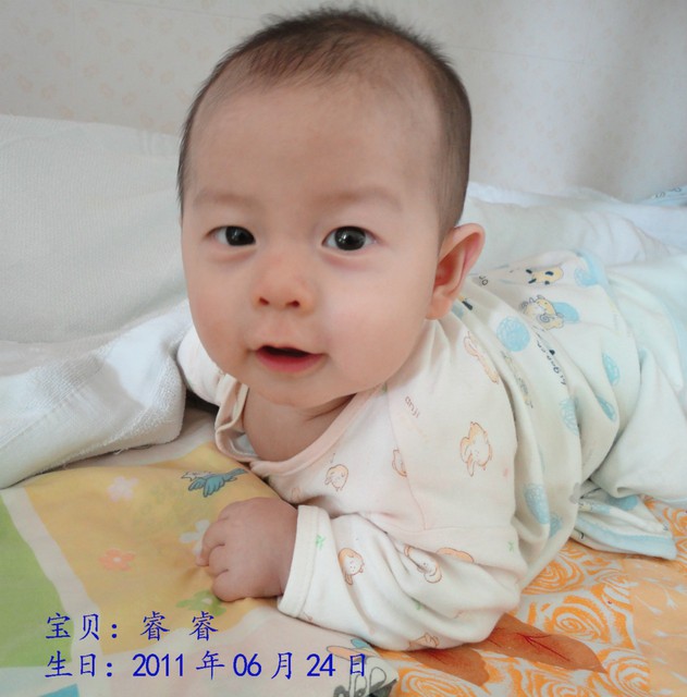 journal_insert_pic_71189414