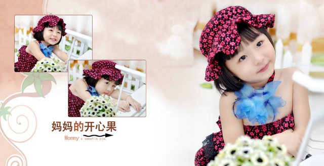 journal_insert_pic_72076334