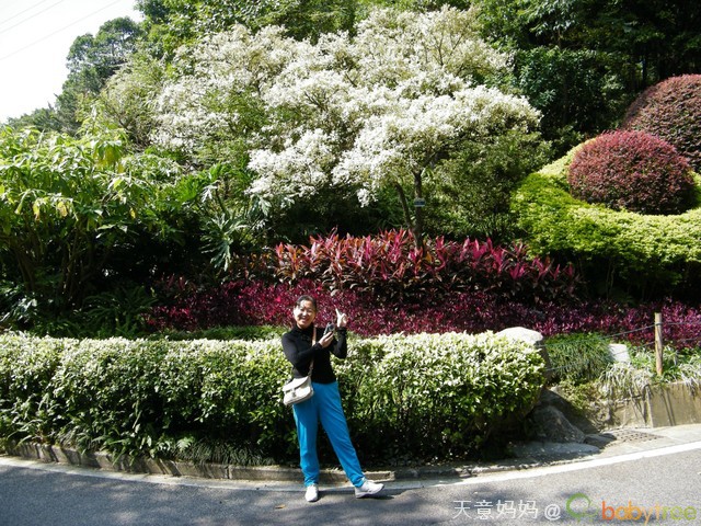 journal_insert_pic_73200421