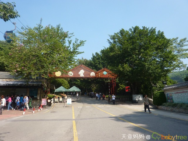 journal_insert_pic_73322259