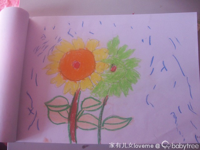 journal_insert_pic_73567354