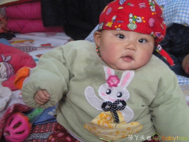 journal_insert_pic_73621318