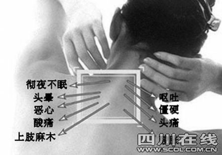 ��ͼ��<B>��׵����</B>��ɶ��ҩ