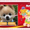 好奇新年卡片2011-12-31 09:37:04