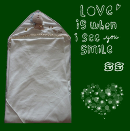 journal_insert_pic_75169412