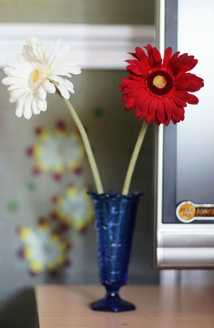 journal_insert_pic_75508273