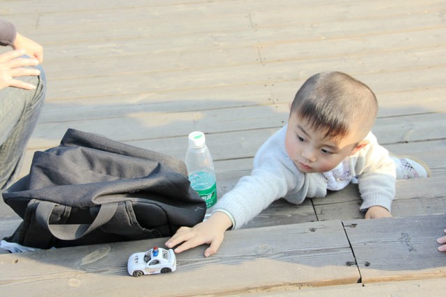 journal_insert_pic_75652311