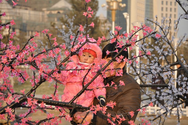 journal_insert_pic_75693887