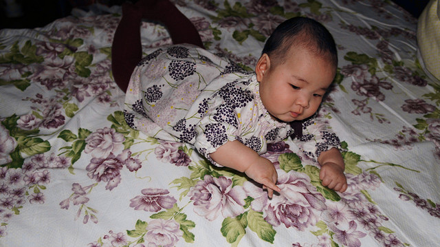 journal_insert_pic_75695664