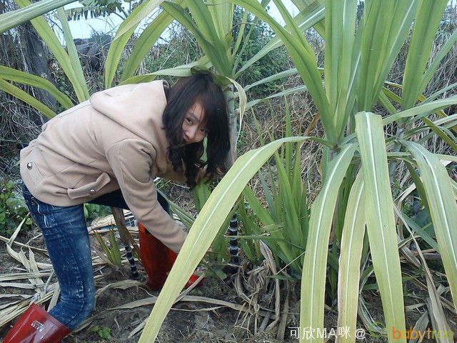journal_insert_pic_75846665
