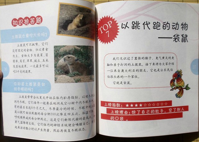 journal_insert_pic_75965245